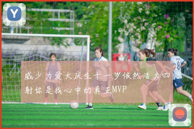 威少为爱犬庆生十一岁依然活力四射你是我心中的真正MVP
