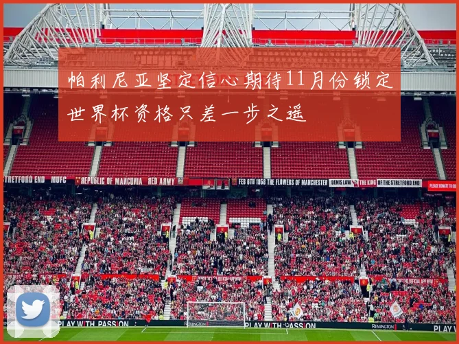 帕利尼亚坚定信心期待11月份锁定世界杯资格只差一步之遥